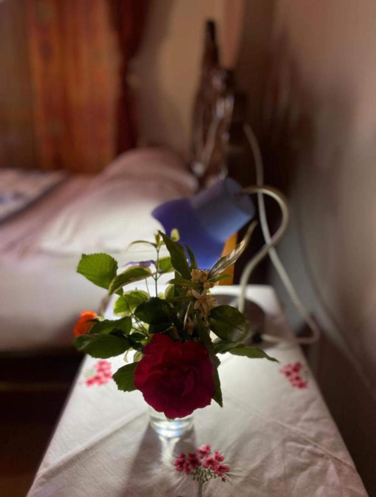 Gather Inn Guest House Шкодер Экстерьер фото